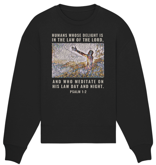 front-organic-oversize-sweatshirt-272727-1116x_28e8fc10-2135-4c4e-af5d-73779c6023fd - Weggefährten Mindset