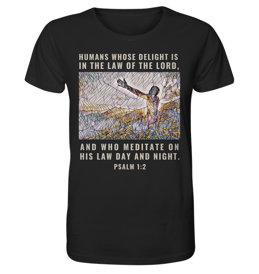 front-organic-shirt-272727-1116x_e13883bf-cee5-44cf-95cb-099b9842d85a - Weggefährten Mindset